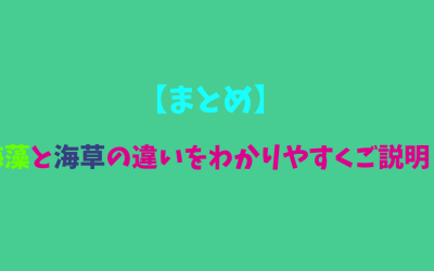 【まとめ】海藻と海草の違いをわかりやすくご説明！