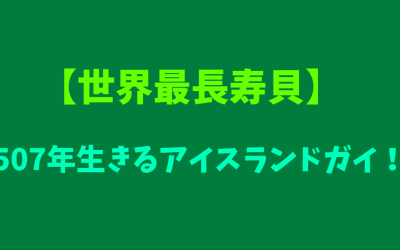 【世界最長寿貝】507年生きるアイスランドガイ！