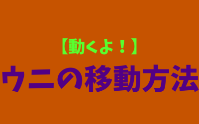 【動くよ！】ウニの移動方法