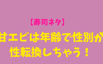 【寿司ネタ】甘エビは年齢で性別が性転換しちゃう！