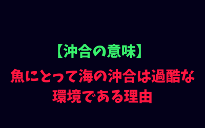 【沖合の意味】魚にとって海の沖合は過酷な環境である理由