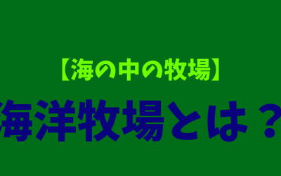 【海の中の牧場】海洋牧場とは？基本情報！