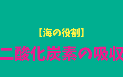 【海の役割】二酸化炭素の吸収