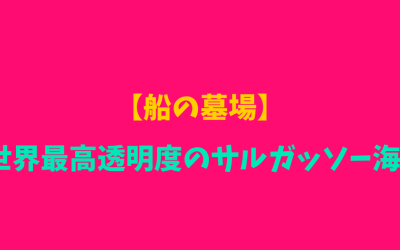 【船の墓場】世界最高透明度のサルガッソー海！