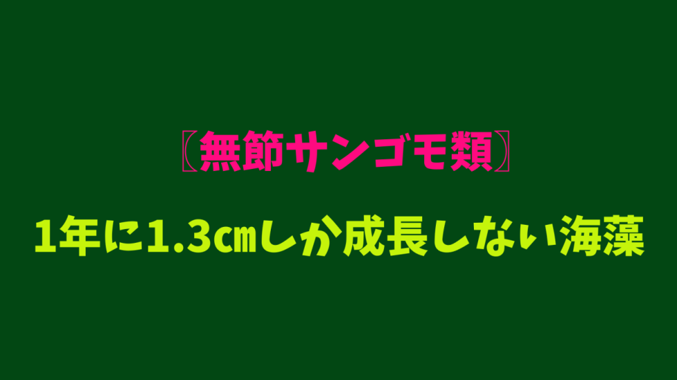 〖無節サンゴモ類〗1年に1.3㎝しか成長しない海藻！ – マリブ 水槽メンテナン …