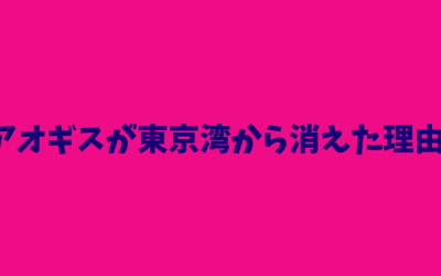 【生態図鑑】アオギスが東京湾から消えた理由