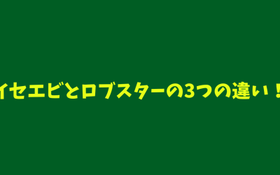 【見分け方】イセエビとロブスターの3つの違い！