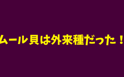 【驚愕】ムール貝は外来種だった！