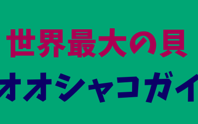 【決定版】世界最大の貝・オオジャコガイ