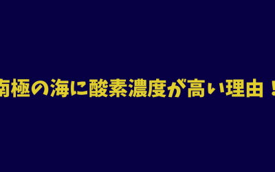 南極の海に酸素濃度が高い理由！