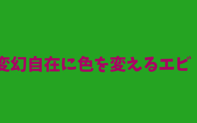 まるでカメレオン！変幻自在に色を変えるエビ！