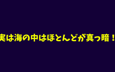 実は海の中はほとんどが真っ暗！その理由！