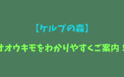 【ケルプの森】オオウキモをわかりやすくお伝えします！