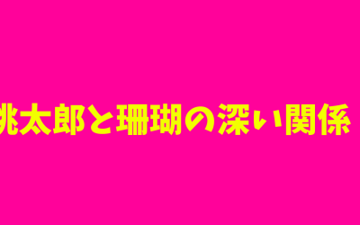 桃太郎と珊瑚の深い関係！