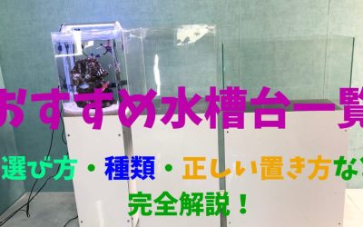 水槽サイズ別おすすめ水槽台一覧！選び方や注意点など完全網羅！