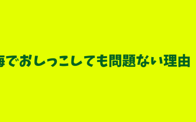 【必見】海でおしっこしても問題ない理由！