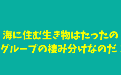 海に住む生き物はたったの3グループの棲み分けなのだ！