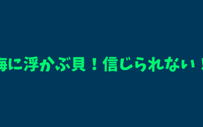 【アサガオガイ】海に浮かぶ貝！信じられない！