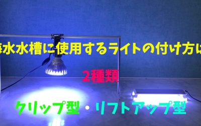 【丸わかり】海水水槽に使用するライトの付け方は2種類