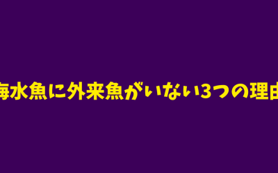 【永久保存版】海水魚に外来魚がいない3つの理由