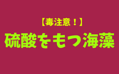 【毒注意！】硫酸をもつ海藻！