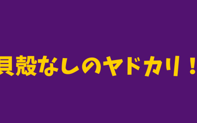 【カンザシヤドカリ】貝殻なしのヤドカリ！