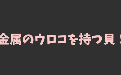 【ウロコフネタマガイ情報】金属のウロコを持つ貝！