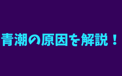 【わかりやすい】青潮の原因を解説！