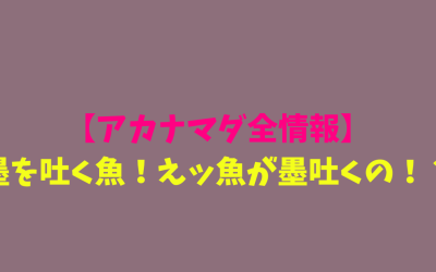 【アカナマダ全情報】墨を吐く魚！えッ魚が墨吐くの！？