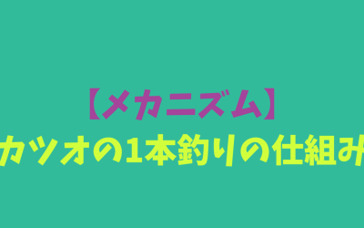 【メカニズム】カツオの1本釣りの仕組み