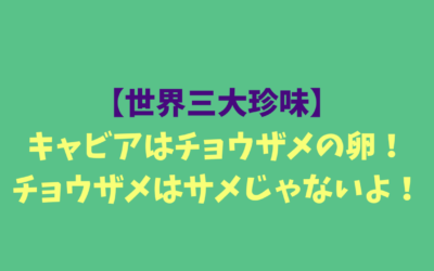 【世界三大珍味】キャビアはチョウザメの卵！チョウザメはサメじゃないよ！