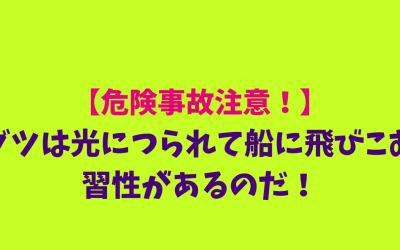 【危険事故注意！】ダツは光につられて船に飛びこむ習性があるのだ！