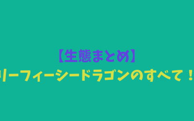 【生態まとめ】リーフィーシードラゴンのすべて！