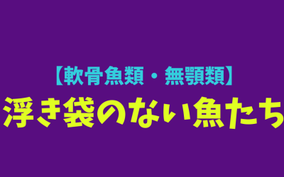 【軟骨魚類・無顎類】浮き袋のない魚たち