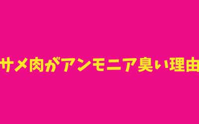 【完全納得】サメ肉がアンモニア臭い理由