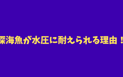 【シンプル説明】深海魚が水圧に耐えられる理由！