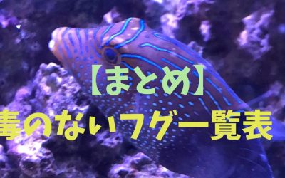 【まとめ】毒のないフグ一覧表！