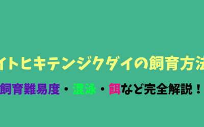 【永久保存版】イトヒキテンジクダイの飼育方法！落ち着くと光る！