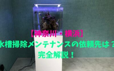 【神奈川・横浜】水槽掃除メンテナンスの依頼先は？完全解説！