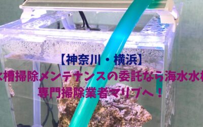 【神奈川・横浜】水槽掃除メンテナンスの委託なら海水水槽専門掃除業者マリブへ！