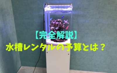 【完全解説】水槽レンタルの予算とは？