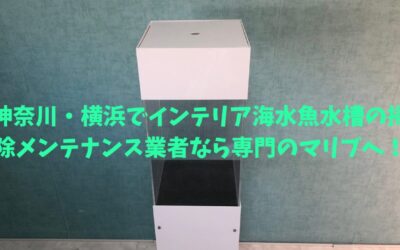 神奈川・横浜でインテリア海水魚水槽の掃除メンテナンス業者なら専門のマリブへ！