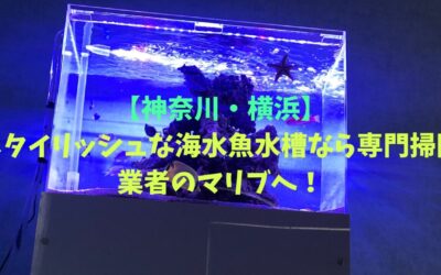【神奈川・横浜】スタイリッシュな海水魚水槽なら専門掃除業者のマリブへ！