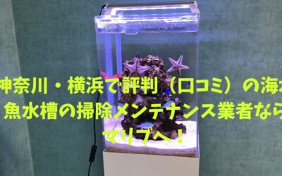 神奈川・横浜で評判（口コミ）の海水魚水槽の掃除メンテナンス業者なら専門のマリブへ！