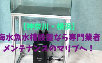 【神奈川・横浜】海水魚水槽設置なら専門業者メンテナンスのマリブへ！