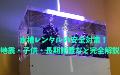 水槽レンタルの安全対策！地震・子供・長期設置など完全解説！