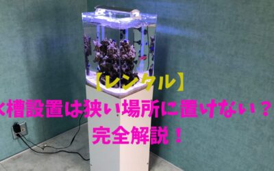 【レンタル】水槽設置は狭い場所に置けない？を完全解説！