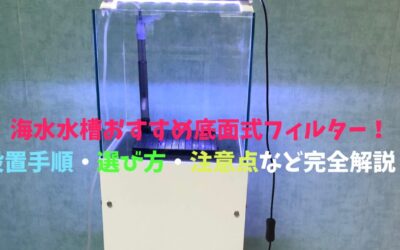 【ろ過能力高い】海水水槽おすすめ底面式フィルター！設置手順・選び方・注意点など完全解説！