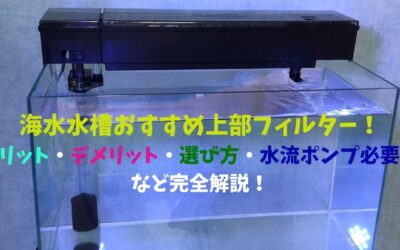 【徹底解説】海水水槽おすすめ上部フィルター！メリット・デメリット・選び方・水流ポンプ必要？など完全解説！
