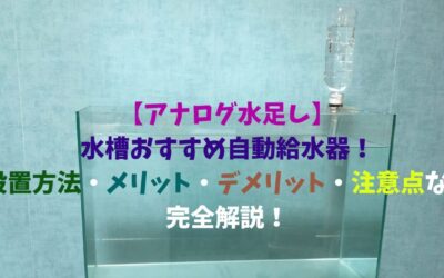 【アナログ水足し】水槽おすすめ自動給水器！設置方法・メリット・デメリット・注意点など完全解説！